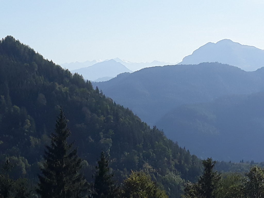Natürlicher Bachlauf im Wald